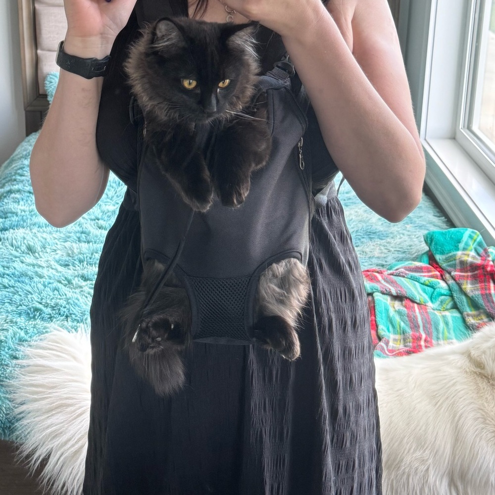 Front pet carrier